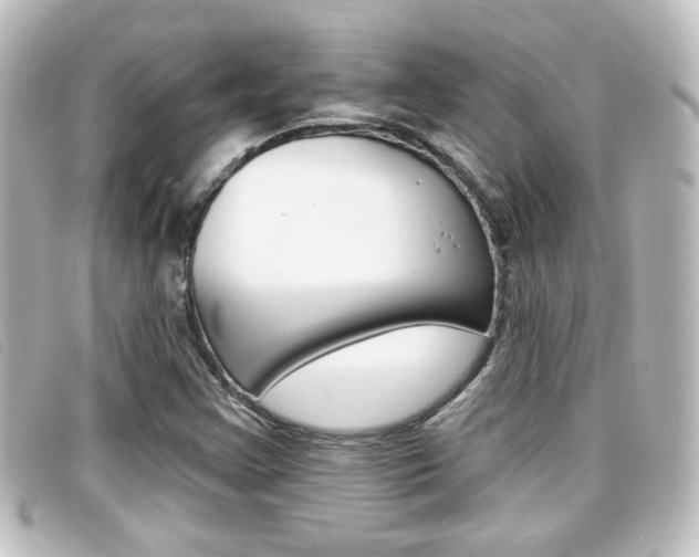 X0000096711355200802051028