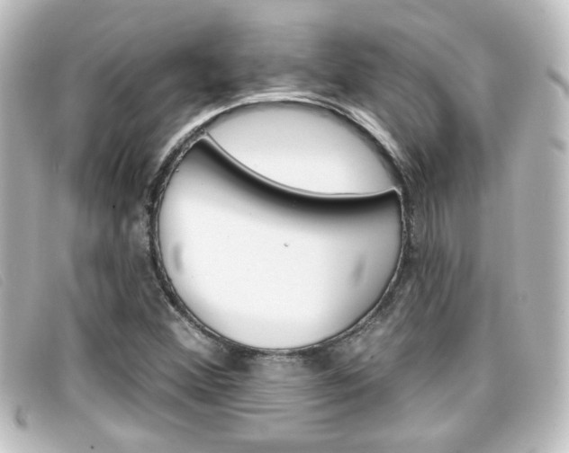 X0000096711356200802051028
