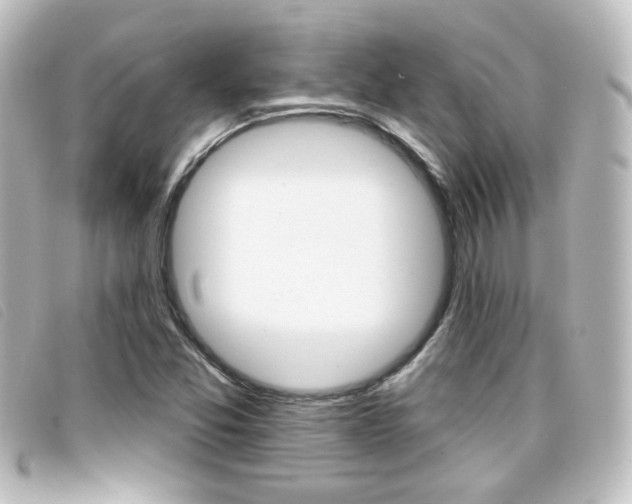 X0000096711357200802051028