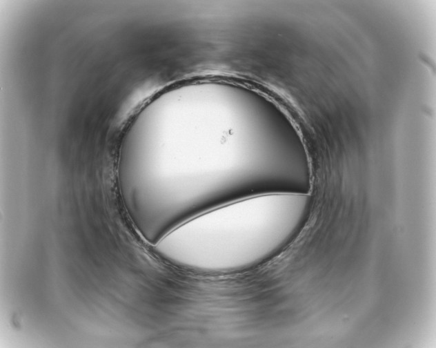 X0000096711359200802051028
