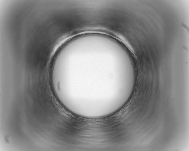 X0000096711360200802051028