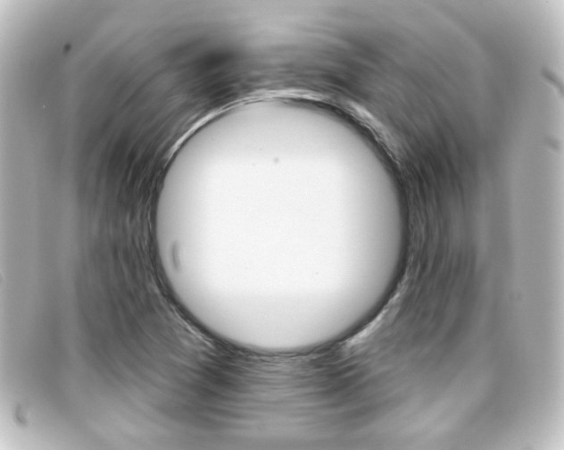 X0000096711361200802051028