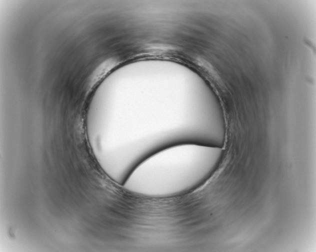 X0000096711362200802051028