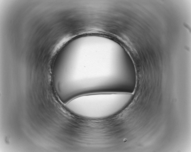 X0000096711363200802051028