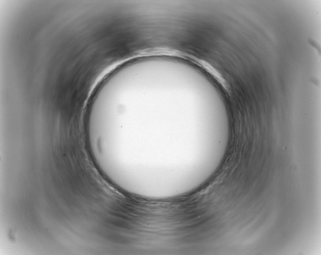 X0000096711364200802051028