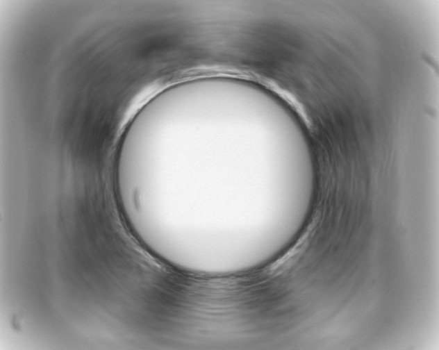 X0000096711365200802051028