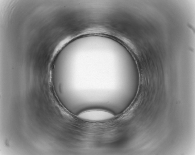X0000096711366200802051028