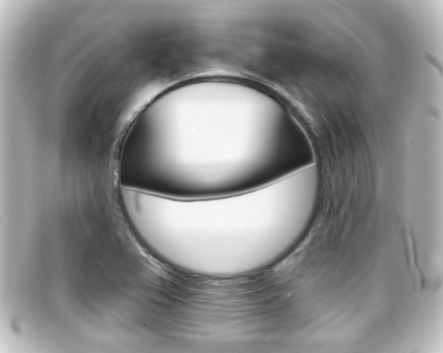 X0000096711367200802051028