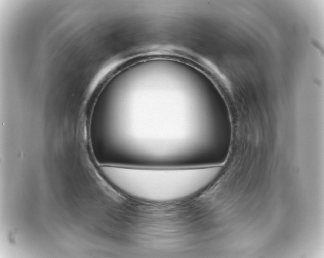 X0000096711368200802051028