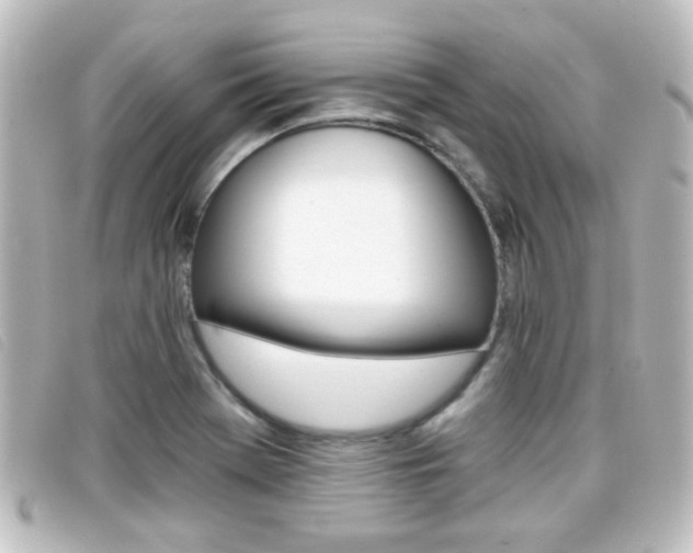 X0000096711369200802051028
