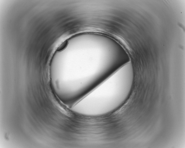 X0000096711371200802051028