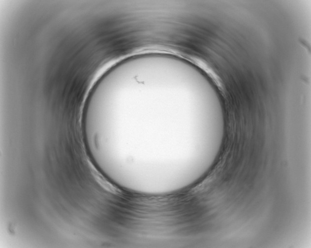X0000096711372200802051028