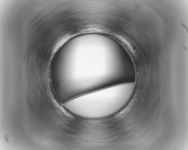 X0000096711373200802051027