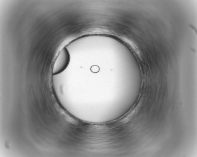 X0000096711374200802051027