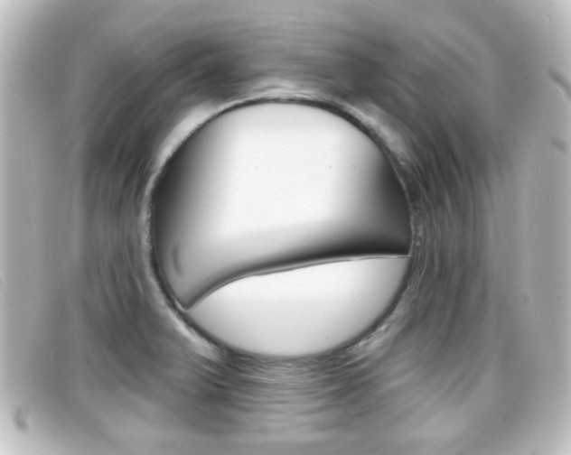 X0000096711375200802051027