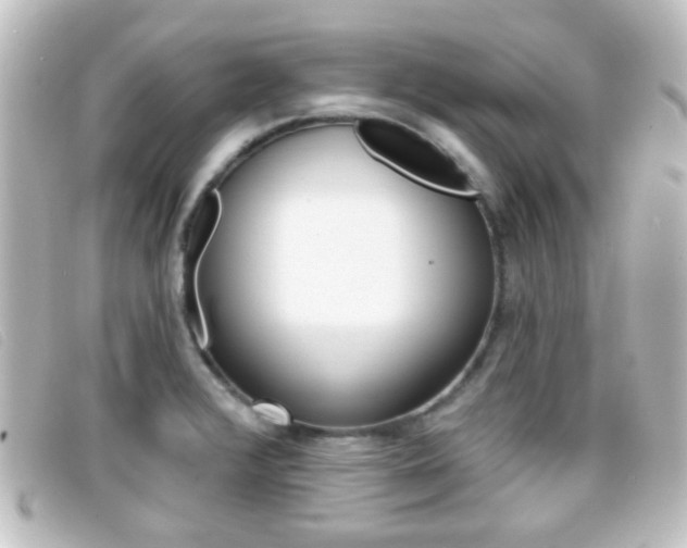 X0000096711376200802051027