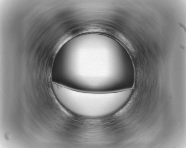 X0000096711377200802051027
