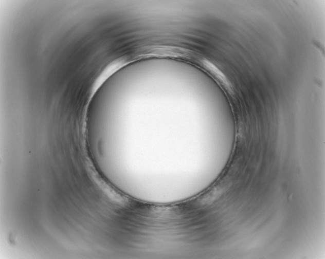 X0000096711378200802051027