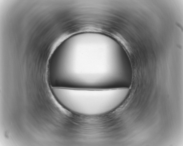 X0000096711379200802051027