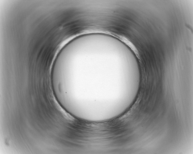 X0000096711380200802051027