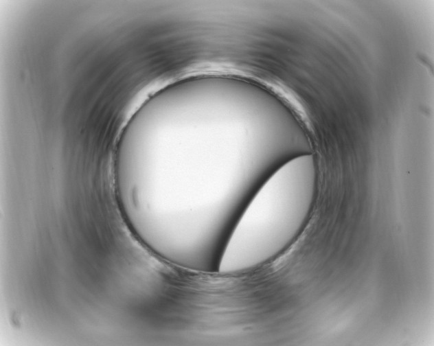 X0000096711382200802051027