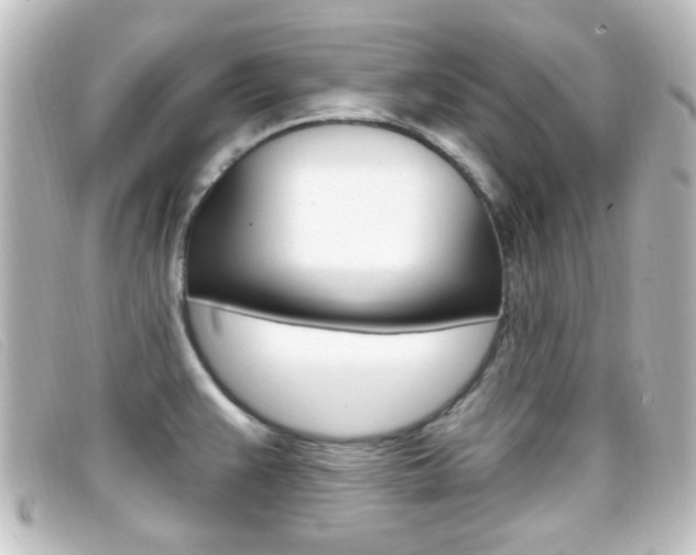 X0000096711383200802051027