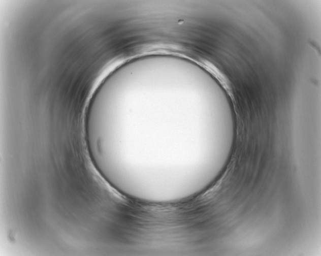 X0000096711384200802051027