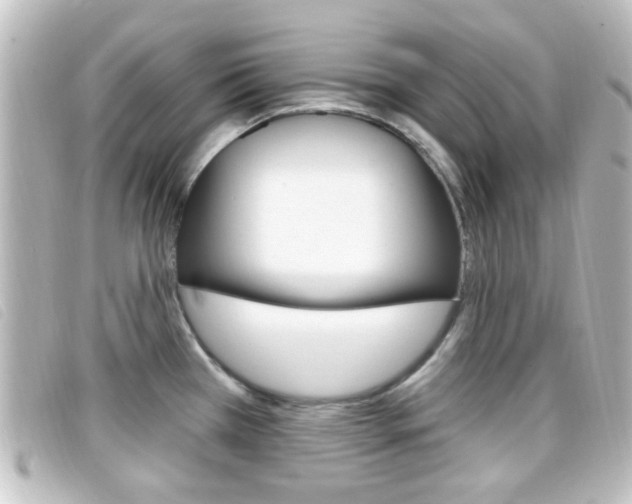 X0000096711385200802051027
