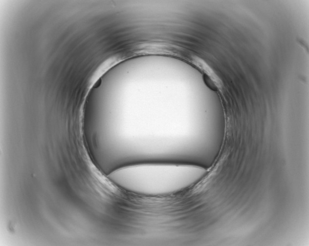 X0000096711386200802051027