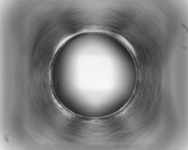 X0000096711388200802051027