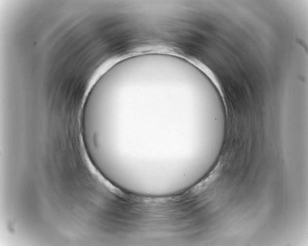 X0000096711389200802051027
