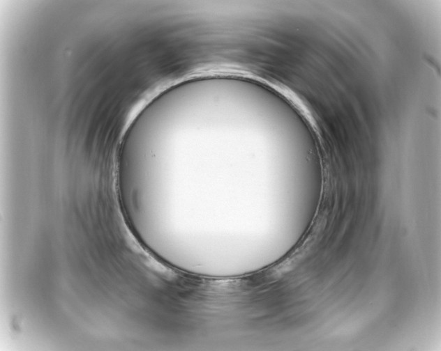 X0000096711390200802051027