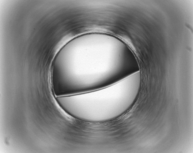 X0000096711391200802051027