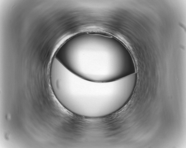 X0000096711392200802051027