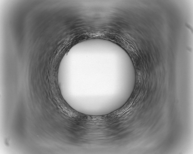 X0000096711393200802051027