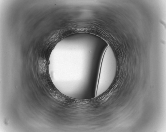 X0000096711394200802051027