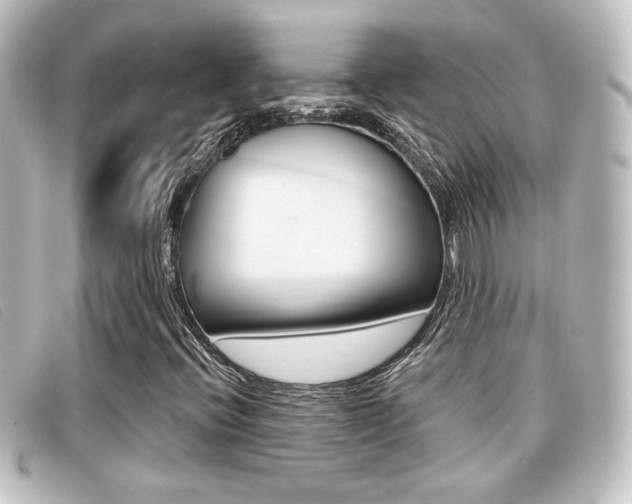 X0000096711396200802051027