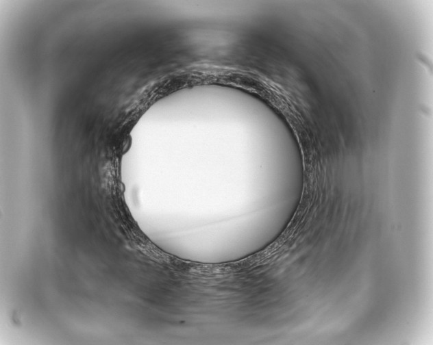 X0000096711397200802051027