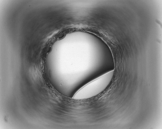 X0000096711398200802051027