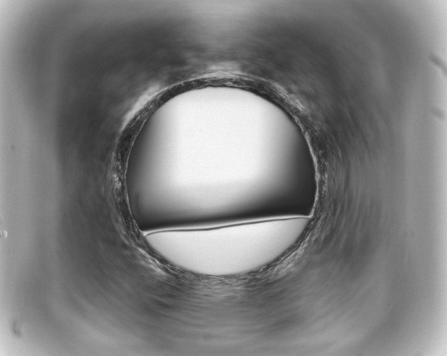 X0000096711400200802051027
