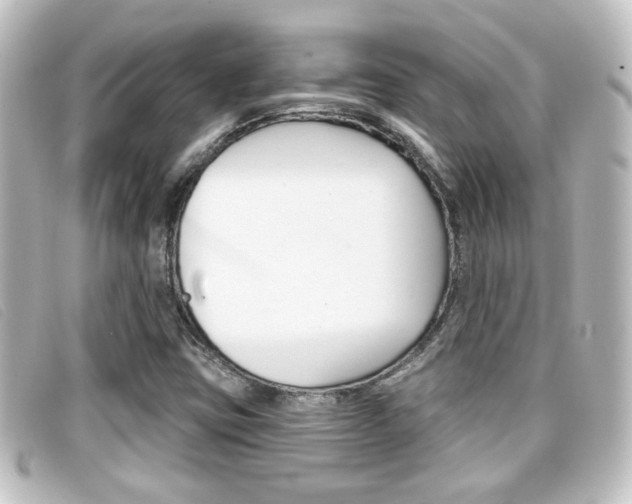 X0000096711403200802051027