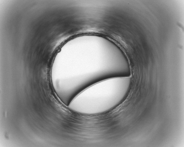 X0000096711404200802051027
