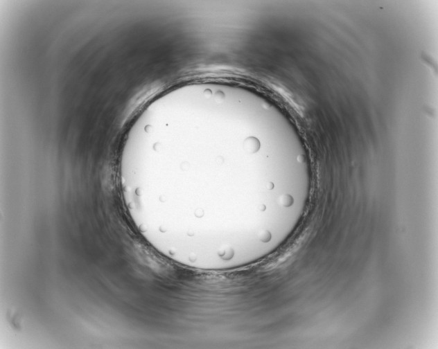 X0000096711405200802051027