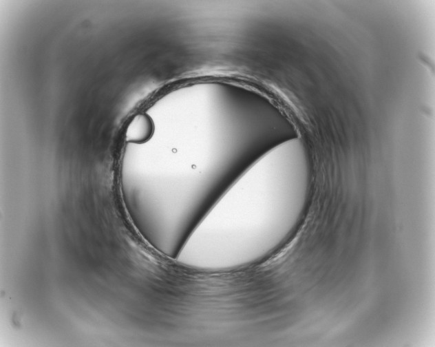 X0000096711406200802051027