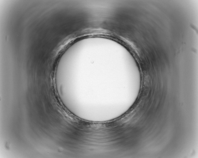 X0000096711407200802051027