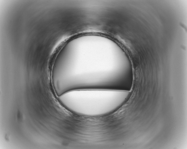 X0000096711408200802051027
