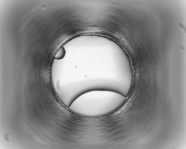 X0000096711409200802051027