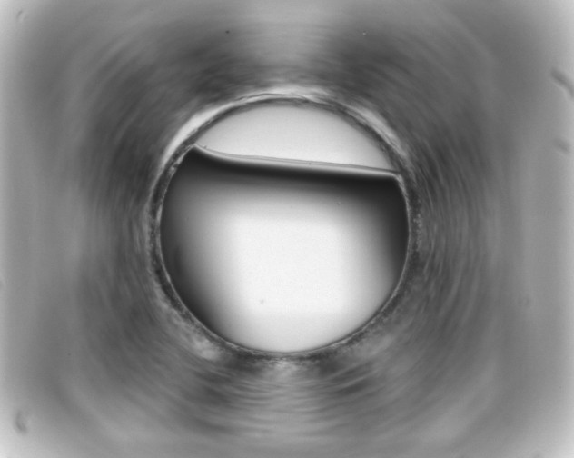 X0000096711412200802051027