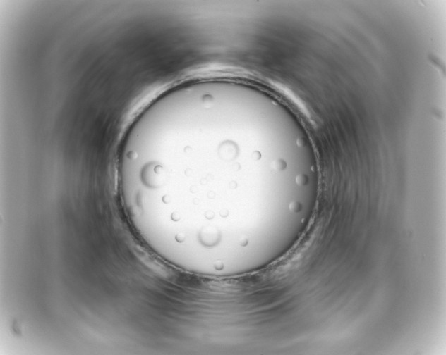 X0000096711413200802051027