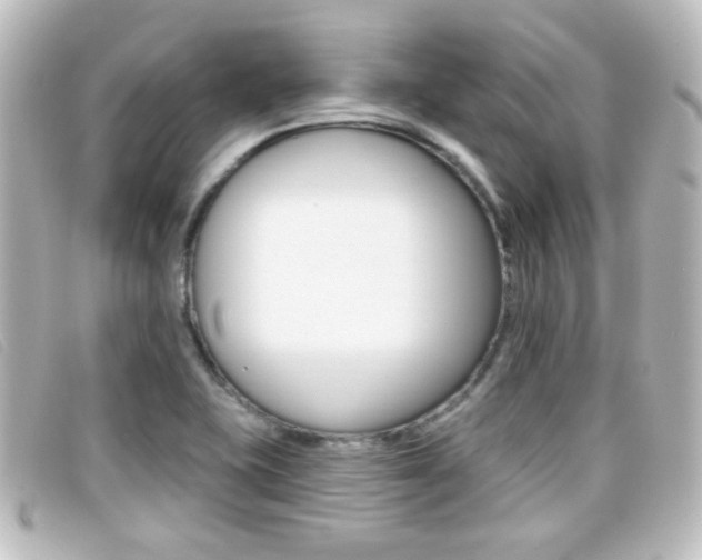 X0000096711415200802051027